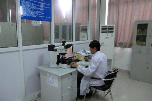 买球的app软件下载