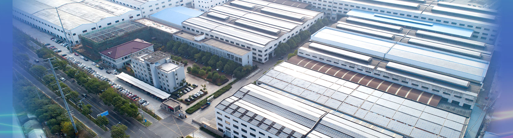 买球的app软件下载